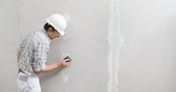 Best Comprehensive Air Testing for Mold Contaminants  in West Union, OH