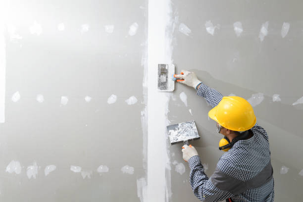 Best HVAC Mold Inspection and Cleaning  in West Union, OH