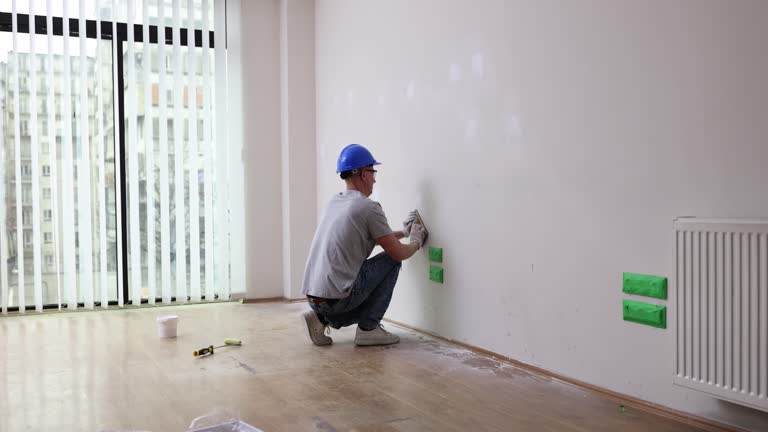 Best Basement Mold Removal  in West Union, OH