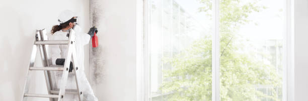 Best Indoor Air Quality Assessment  in West Union, OH