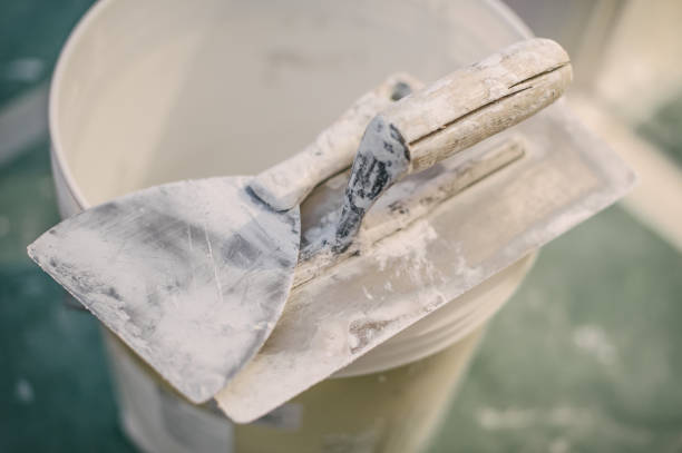 Best Dehumidification Services  in West Union, OH