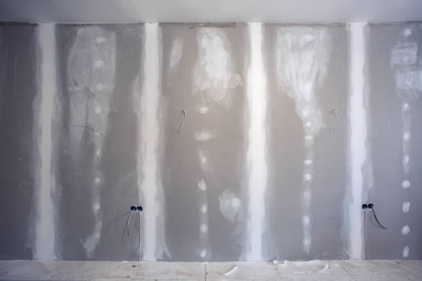 Best Mold Remediation for Vacation Homes  in West Union, OH